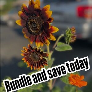 Bundle and save today